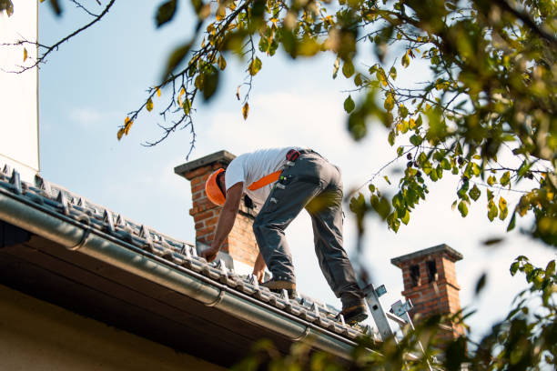 Gutter Installation and Roofing in Buna, TX