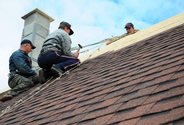 Best Roof Leak Repair  in Buna, TX