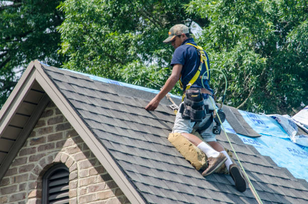 Best Gutter Installation and Roofing  in Buna, TX